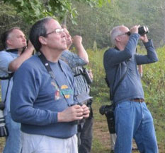 Photo 12 from Georgia Audubon